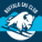 Buffalo Ski Club Ski Area favicon